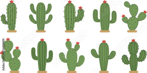 Cute cactus illustration set featuring colorful desert plants with flowers for decor, kids design, and nature themes