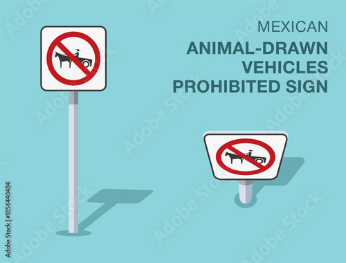 Traffic regulation rules. Isolated mexican "animal-drawn vehicles prohibited" road sign. Front and top view. Flat vector illustration template.
