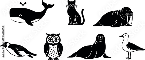 Black and white animal silhouettes including whale, cat, owl, penguin, seal, walrus, seagull – flavector
