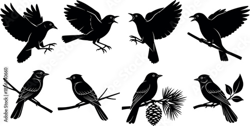 Bird silhouette collection featuring flying and perched birds on branches representing wildlife nature freedom animal illustration set