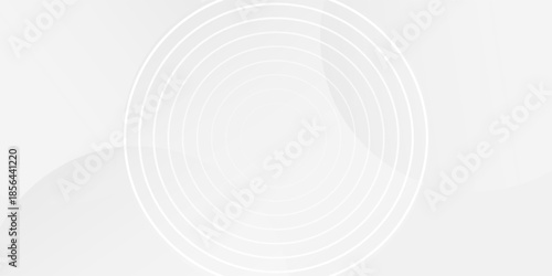 White geometric abstract background overlap layer on bright space with lines effect decoration. Modern graphic design element circles style concept for banner.