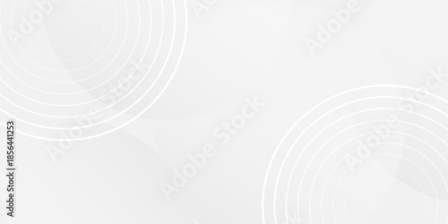 White geometric abstract background overlap layer on bright space with lines effect decoration. Modern graphic design element circles style concept for banner.