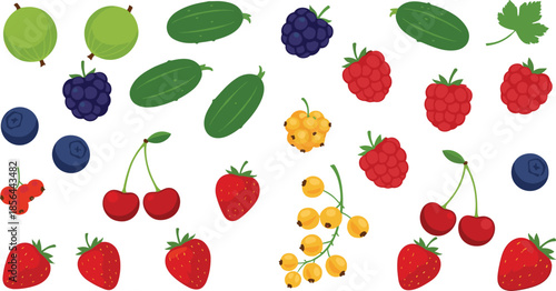Flat vector illustration of a collection of fresh berries and vegetables including strawberries blueberries cherries raspberries blackberries gooseberries and cucumbers isolated on white background