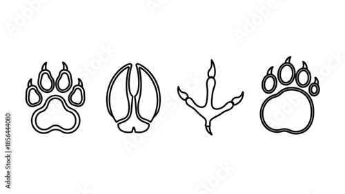 Animal tracks illustration showing various animal footprints in a simple line art style
