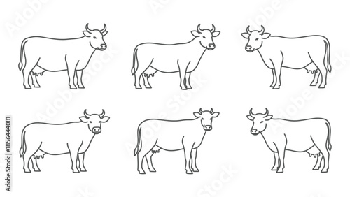 Collection of simple line drawings of cows standing in various poses with horns showcasing different angles and minimalistic design elements for graphic use.