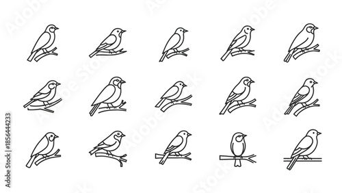 Bird outline icon set showing different poses and perching styles, minimal line vector animal symbols 