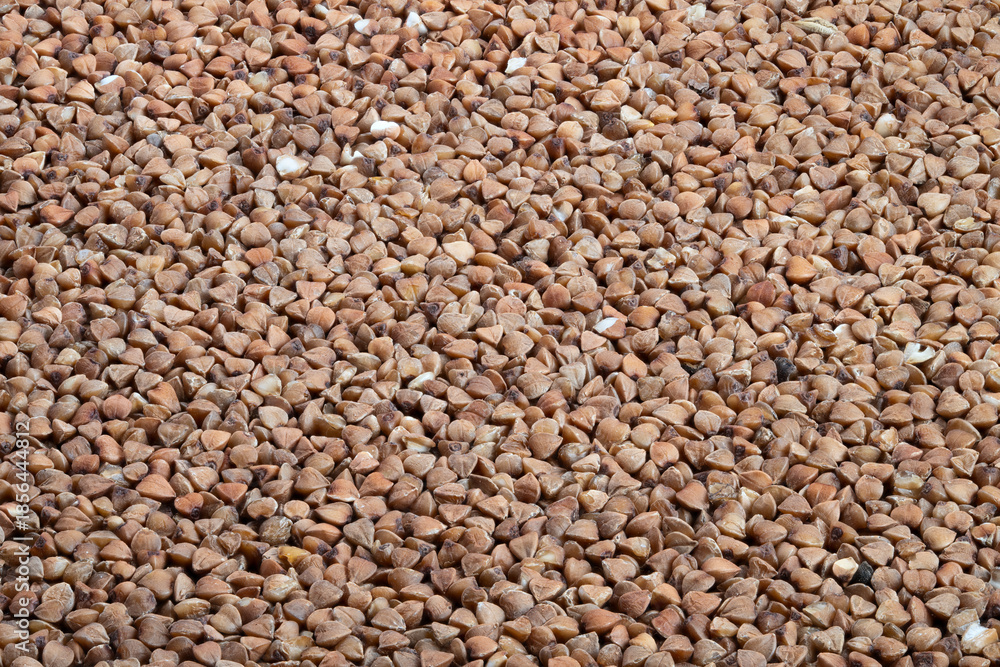 Fototapeta premium Buckwheat pattern backdrop, Background with evenly spread buckwheat grains for mockup use, Textured flatlay of buckwheat groats showcasing consistent pattern in neutral shades