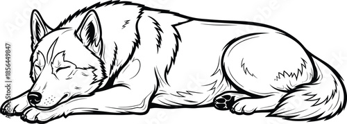 Sleeping wolf line art illustration, resting wild animal drawing, peaceful canine sketch, black and white nature wildlife design