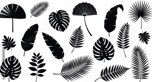 Tropical leaves silhouette collection, botanical jungle foliage shapes, palm monstera banana leaf set, nature illustration isolated white background