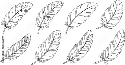 Elegant Hand-Drawn Feather Line Art Collection