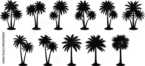 Palm tree silhouette set, tropical icons, black vector trees, landscape design, botanical shapes, exotic foliage, beach vibe, nature graphic