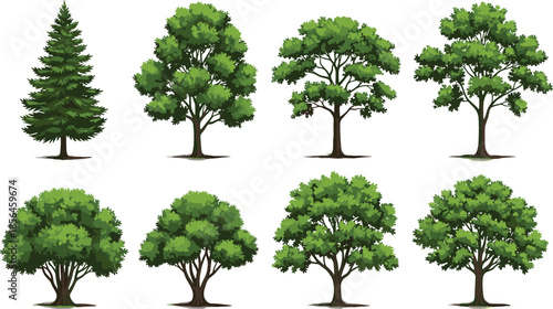 Green tree illustration set, various deciduous and evergreen trees, nature forest elements, botanical plants collection, isolated on white background