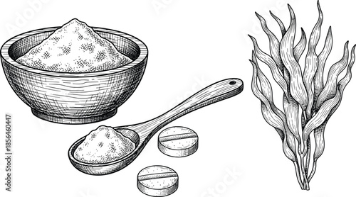Herbal supplement illustration, seaweed powder bowl, spoon and tablets, natural medicine ingredients, botanical nutrition concept, vintage engraved style