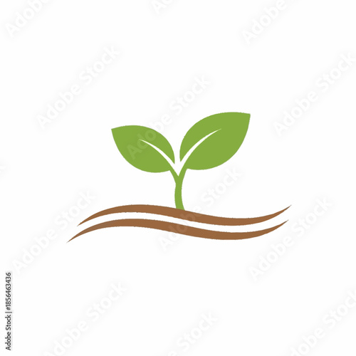 Green sprout growing from soil representing new life and growth.