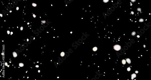 White flower petals sway in the wind. Isolated on black background. 4K 3D rendering loop animation.