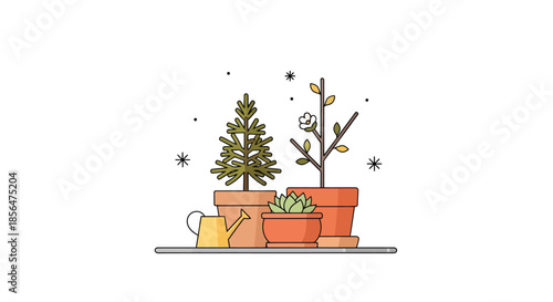 Potted plants on a shelf with a watering can nearby indoors