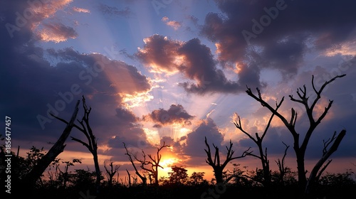 Dramatic Sunset Over Silhouetted Trees with Colorful Clouds and Rays of Light in the Sky