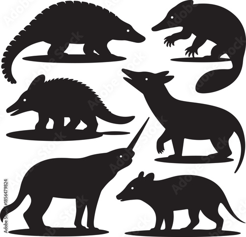 Collection of diverse exotic animal silhouettes isolated on transparent background