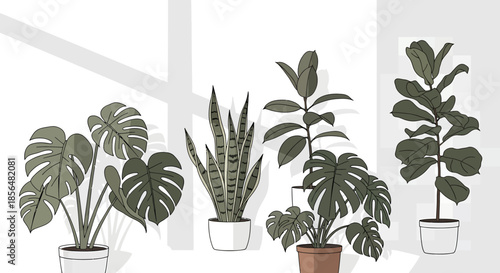 Variety of potted houseplants in modern indoor setting with large window