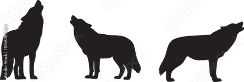 Set of Three Black Silhouettes of Wolves Howling at the Moon Isolated on White Background