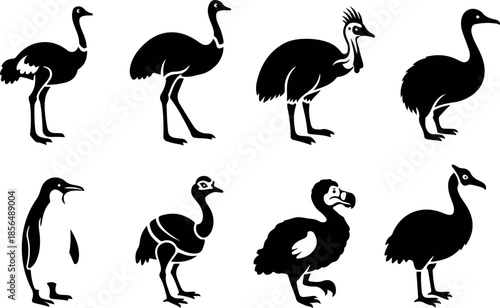 Silhouette of Extinct and Modern Flightless Birds Ostrich, Emu, Dodo, Penguin