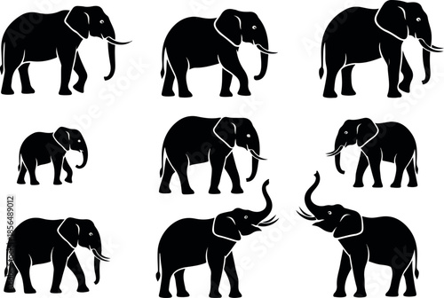 Silhouette Elephants A Collection of Black and White Vector Graphics