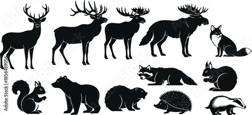 Forest Animals Silhouette Vector Collection Deer, Moose, Fox and More