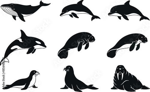 Diverse Marine Wildlife Collection Whale, Dolphin, and Seal Silhouettes