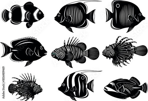 Diverse Fish Species Vector Illustration Marine Life Collection