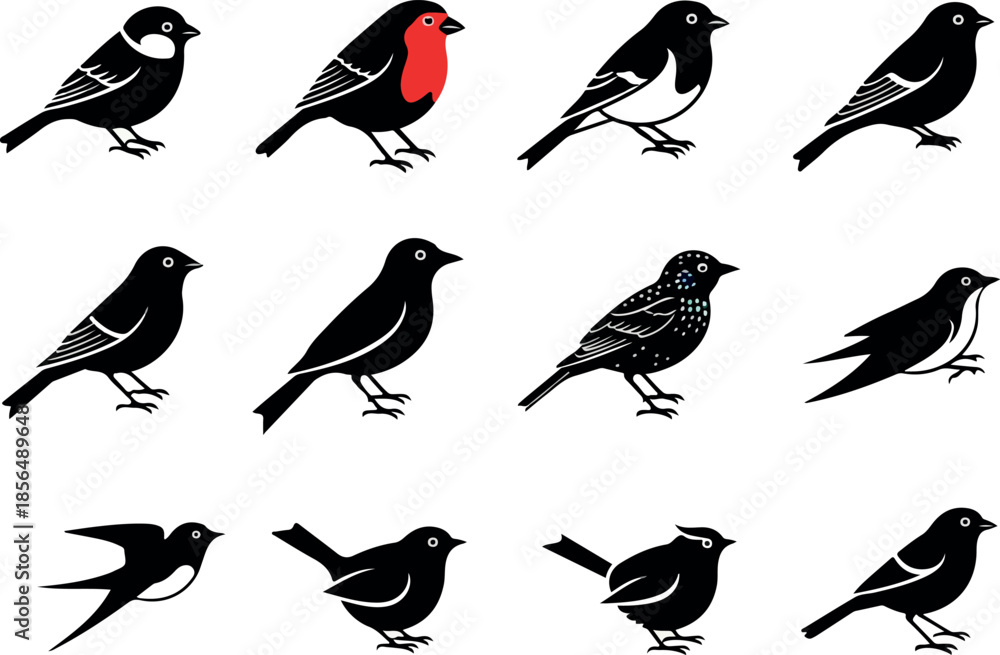 Obraz premium Diversity of bird species An illustrative collection of bird silhouettes