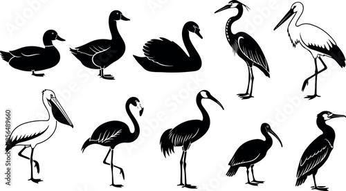 Diverse Waterfowl Collection Silhouetted Birds in Black and White