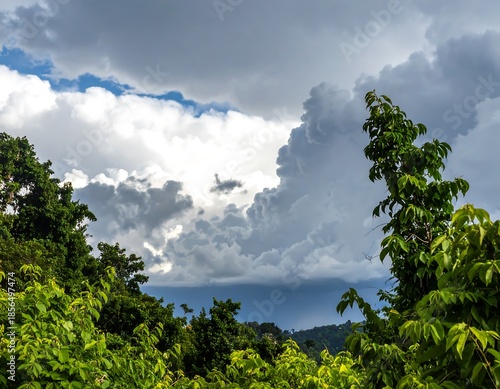A vibrant skyscape with billowing clouds and foliage, highlighting contrast between bright sky and dark, looming storm