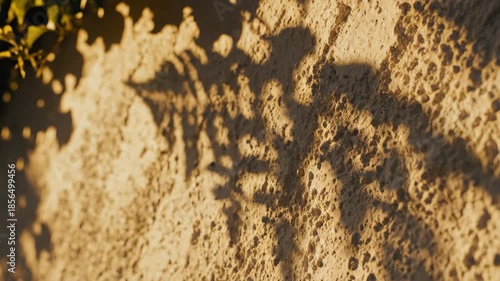 Shadow Play on Texture: The dappled shadows of foliage dance across a textured wall, the interplay of light and shadow, creating an intriguing contrast.