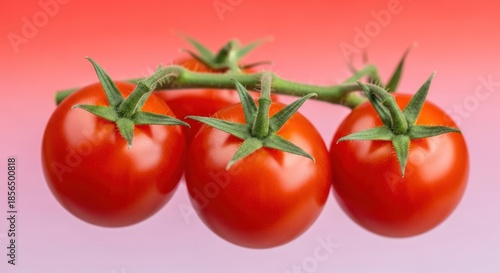 Vibrant vine tomatoes against a subtle red gradient background showcase