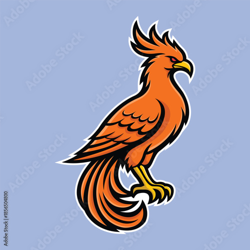 phoenix masccot logo vector design template modern style