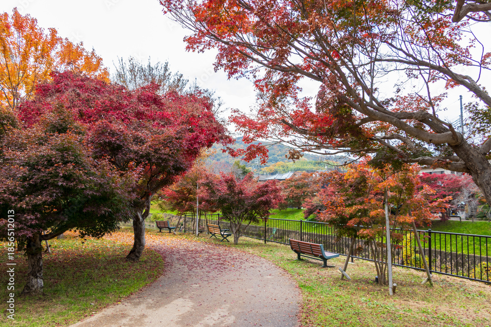 Naklejka premium 奈良県・秋の竜田公園