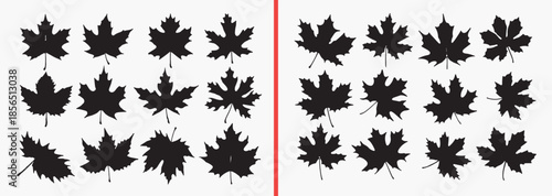 maple leaf silhouette, autumn leaf clipart, fall foliage shapes, leaf outline illustration, nature leaf graphics, black white leaf art, printable autumn leaves, seasonal foliage design, leaf silhouett