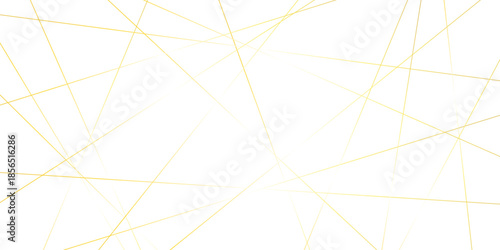 Abstract randomly gradient vector white striped line pattern shape art wallpaper. modern seamless fabric striped minimal smooth futuristic diagonal thin vintage background.