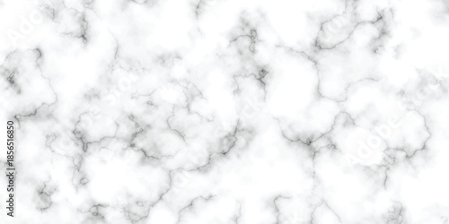 abstract interior beautiful black and white Carrara slab interior tiles gradient luxury ceramic wall and floor kitchen texture background