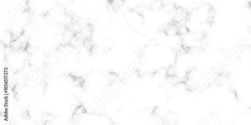 abstract interior beautiful black and white Carrara slab interior tiles gradient luxury ceramic wall and floor kitchen texture background