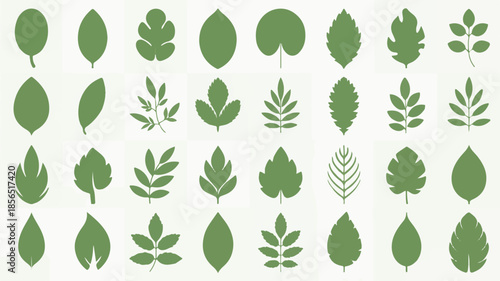 A collection of green leaves and foliage silhouettes on a white background