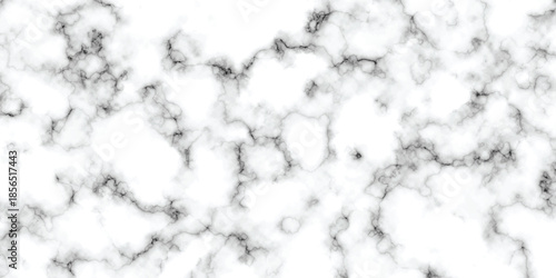 abstract interior beautiful black and white Carrara slab interior tiles gradient luxury ceramic wall and floor kitchen texture background