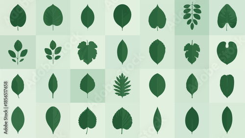 A collection of various green leaf silhouettes arranged in a grid pattern on a light green background