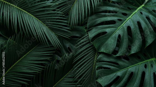 close-up of green palm leaves and vines, an idea for an Easter plant backdrop and interior decor.