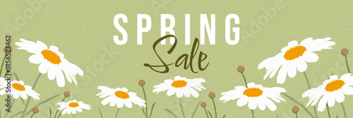 Spring sale vector banner with cute white daisies and central spring sale lettering. Fresh floral botanical design on soft pastel background for seasonal promotions, posters, web headers and marketing
