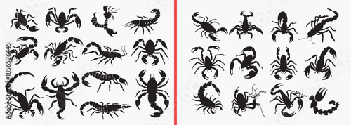 sea animal silhouettes vector, marine creature clipart, ocean life svg bundle, underwater animal shadows, sea wildlife illustration, aquatic animals vector set, marine biology graphics, ocean creature