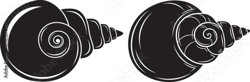 Two black spiral seashell silhouettes isolated on white background