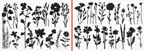 botanical stem silhouettes, tall flower vector, wild plant clipart, minimal floral illustration, garden stem svg, black botanical shadows, elegant plant design, nature line art vector, floral decor gr