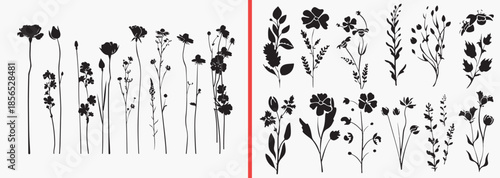 botanical stem silhouettes, tall flower vector, wild plant clipart, minimal floral illustration, garden stem svg, black botanical shadows, elegant plant design, nature line art vector, floral decor gr