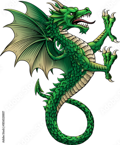 A heraldry coat of arms crest style heraldic wyvern dragon in a vintage woodcut style